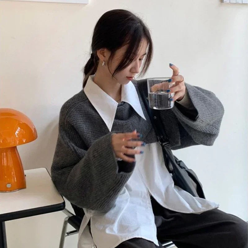 

Knitted Pullovers Women Autumn Winter Batwing Sleeve Sweaters New Chic Asymmetrical Design temper Korean Elegant Female Outwear