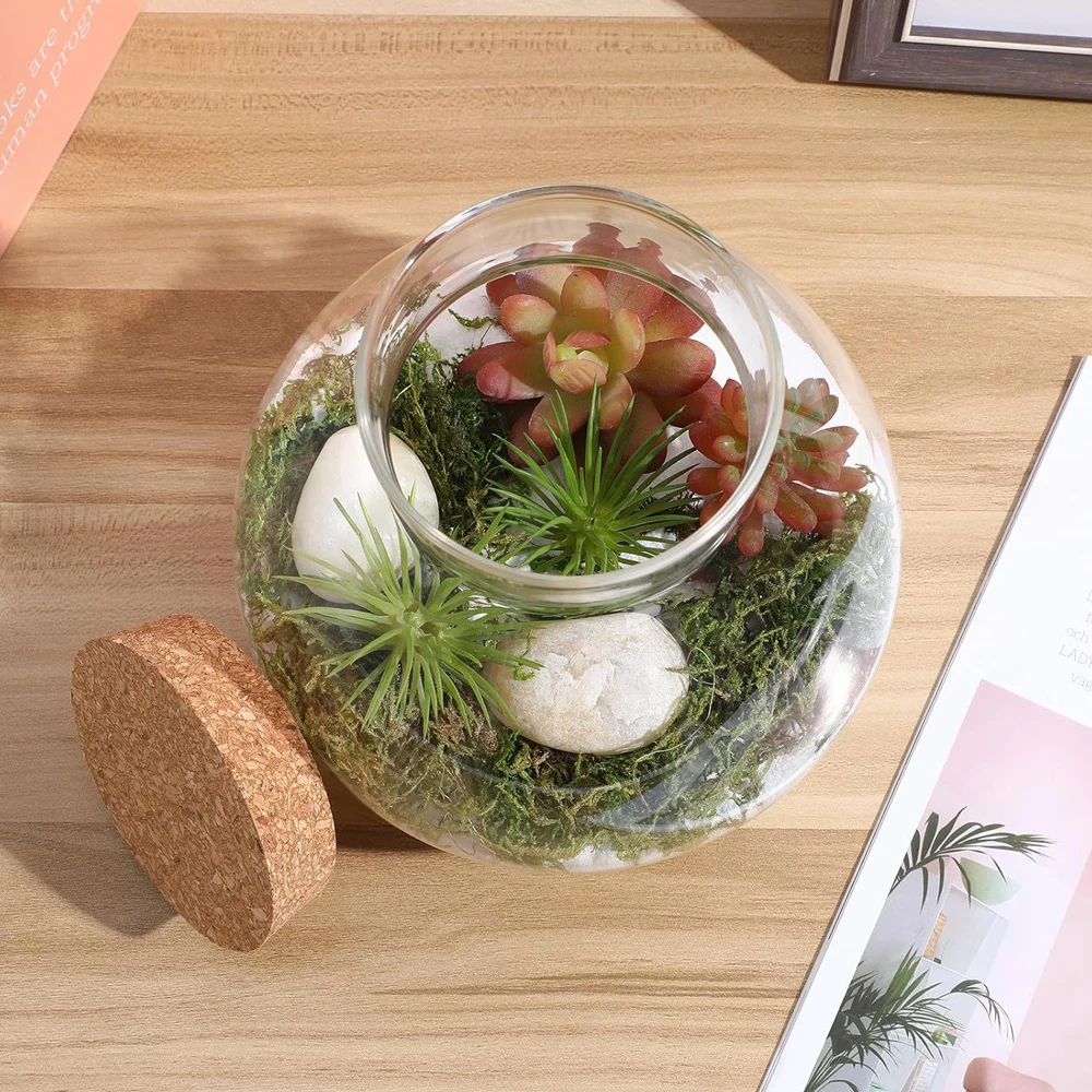Glass Terrarium Jar with Cork Lid, 6x6.3 Inch Closed Terrarium for Succulent Moss and Fern DIY Miniature Desktop Garden for Home