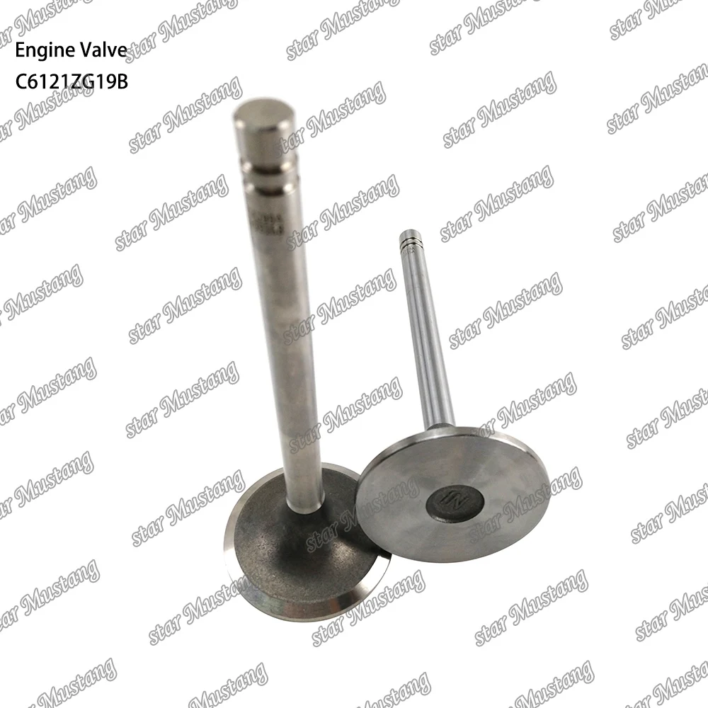 C6121ZG19B Engine Valve Suitable For Shang chai Engine Parts