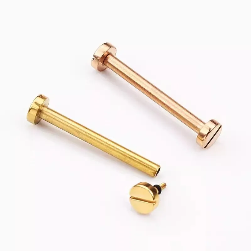 19.6mm 21.6mm Screw Rod For Cartier Pasha SEATIMER Watch Steel Strap Ear Link Shaft Connecting Rod Watch Accessories