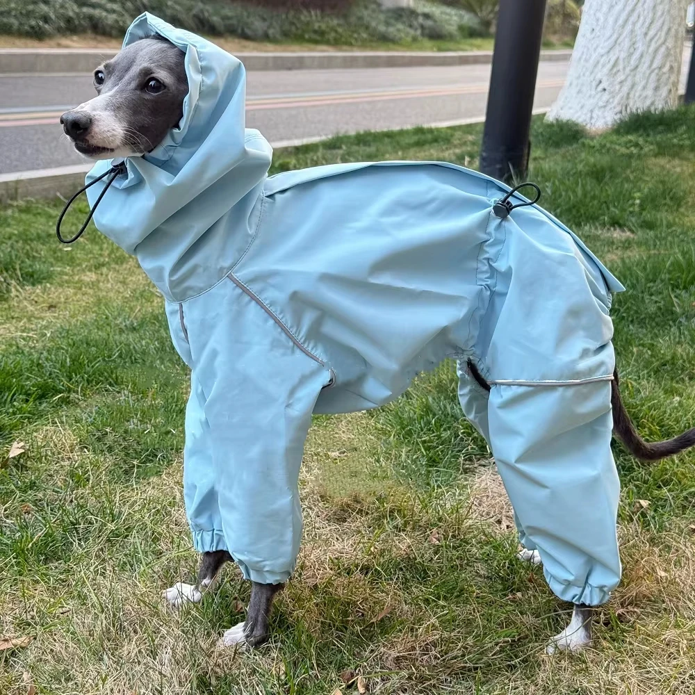 

Windproof Waterproof Dog Raincoat for Italy Greyhound, Whippet & Saluki - Reflective Spring Summer Coat, Blue/Red Jacket