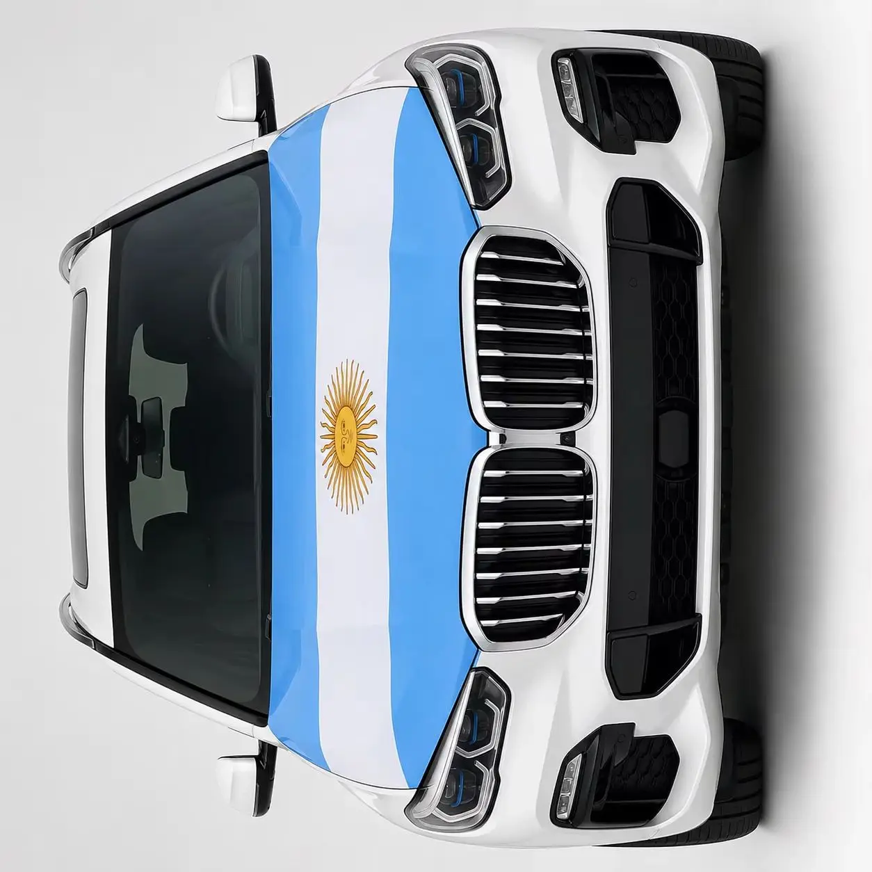 Argentina Flag Car Cover For Decoration,Argentine flag with a car emblem