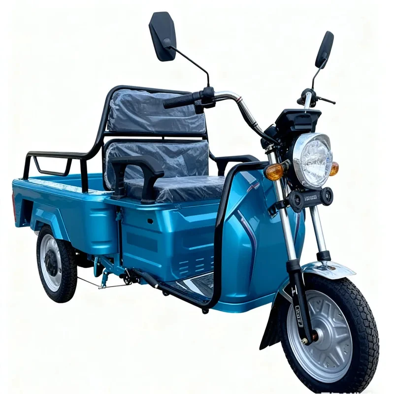 Hot Sale Motorized Cargo Tricycle Adults 3 Wheel Motorcycle With 650W Motor Fami Transport