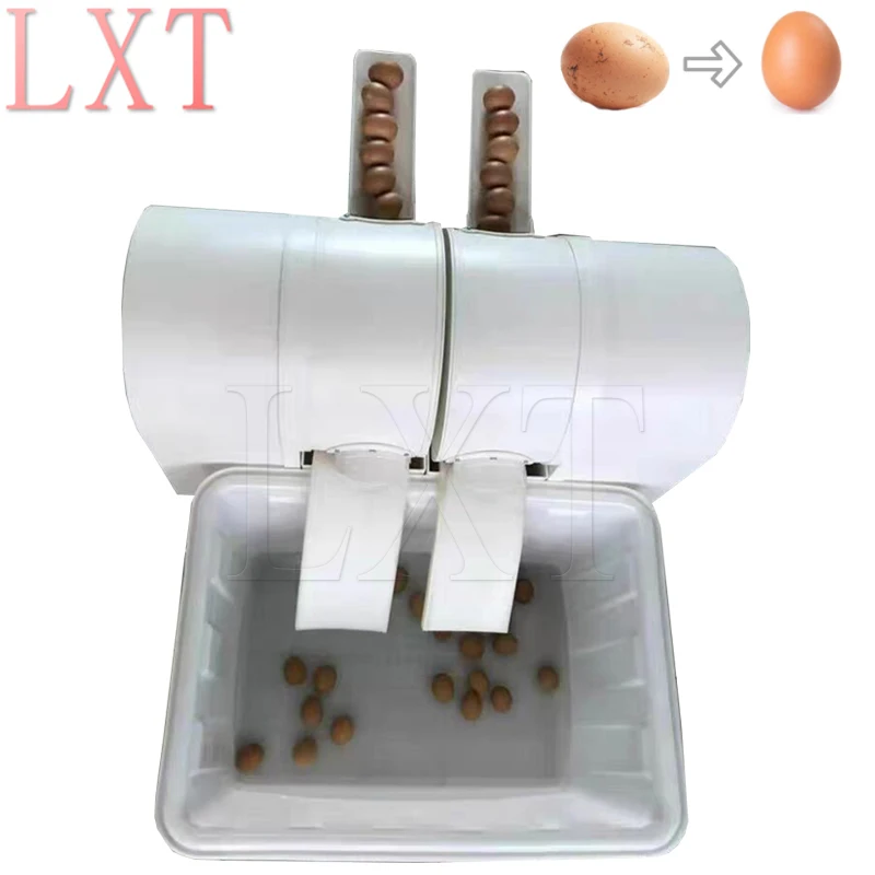 

Double Row Commercial Fully Automatic Egg Washing Machine Chicken Duck Goose Egg Washer