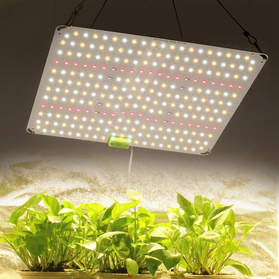Full Spectrum LED Grow Light LM281B High PPFD Super Brightness For Greenhouse Hydroponic Growing Lamp Plants