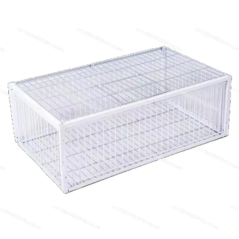 Custom Foldable Galvanised Pigeon Bird Trap Cage Feral Pigeon Humane Way with The One-way Entrance Trapping Pigeons Doves in Cag