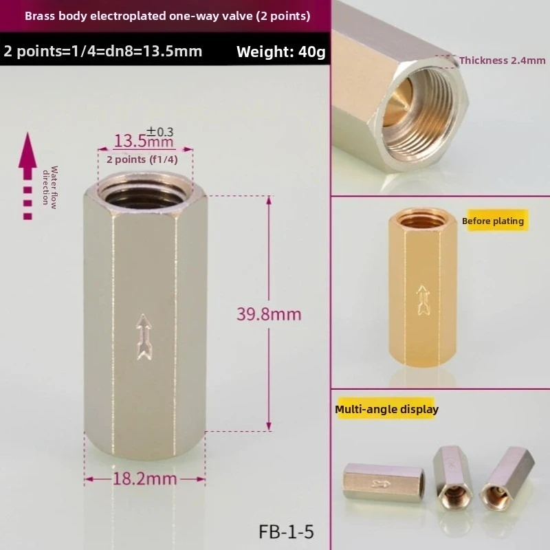 BSP Female Brass One-Way Check Valve - 1/8