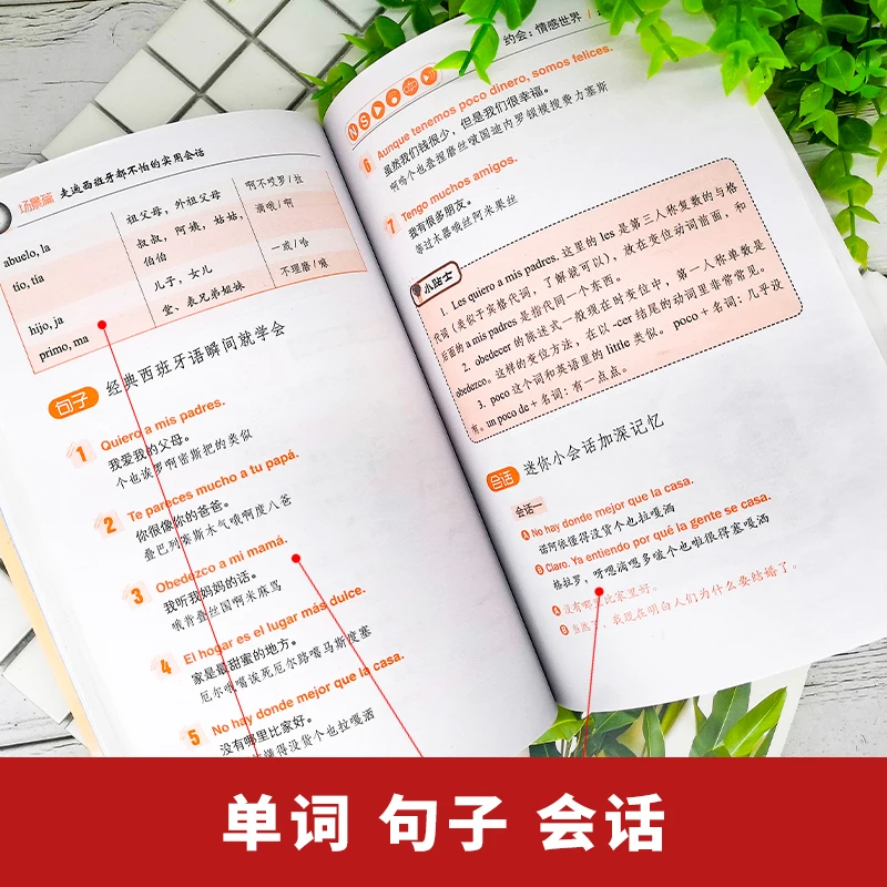 New Beginners Learn Spanish Language Vocabulary Sentence Spoken Language Book For Adult