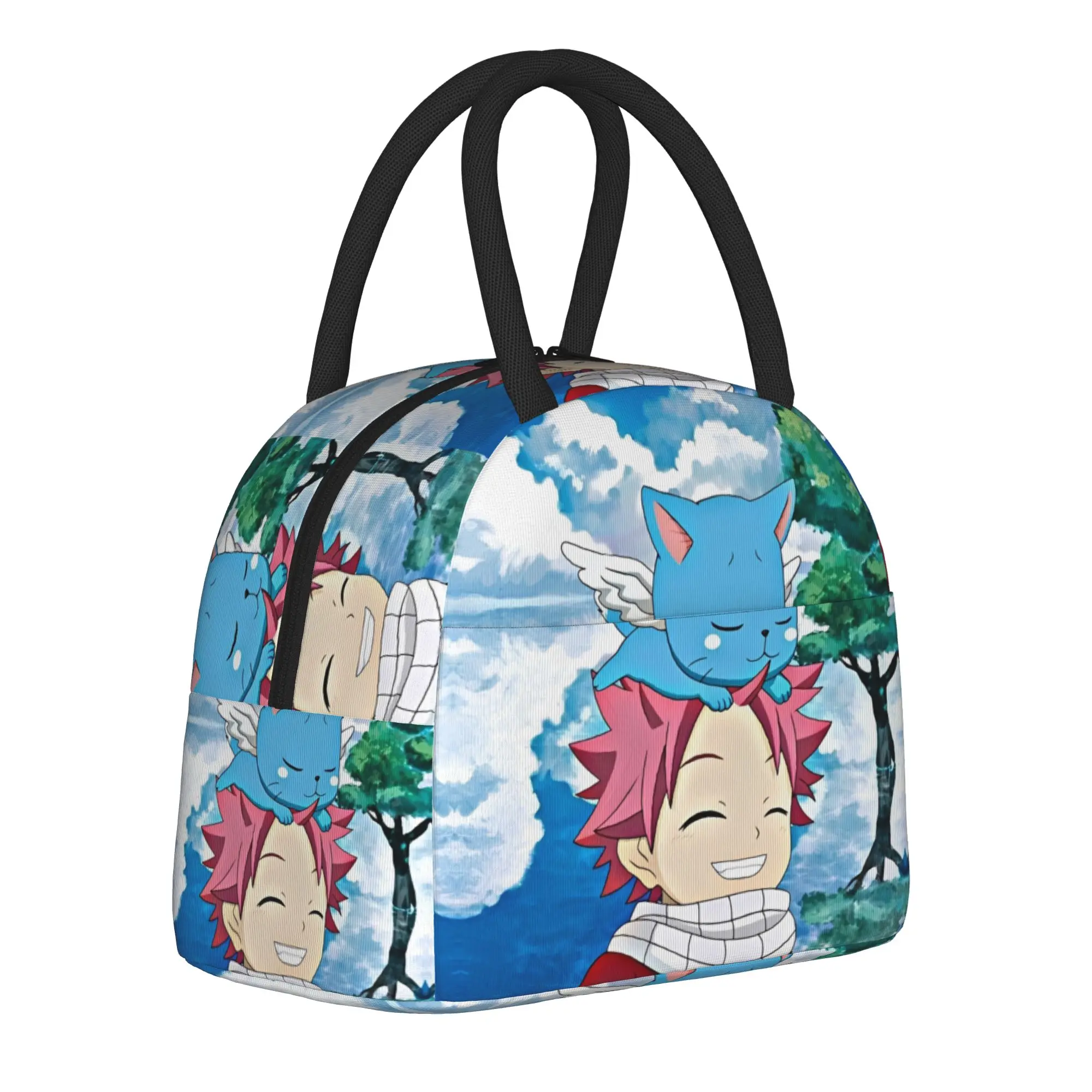 Lunch Box Happy Fairys Tails Manga Accessories  Storage Food Box Multifunction Thermal Cooler Bento Box For School