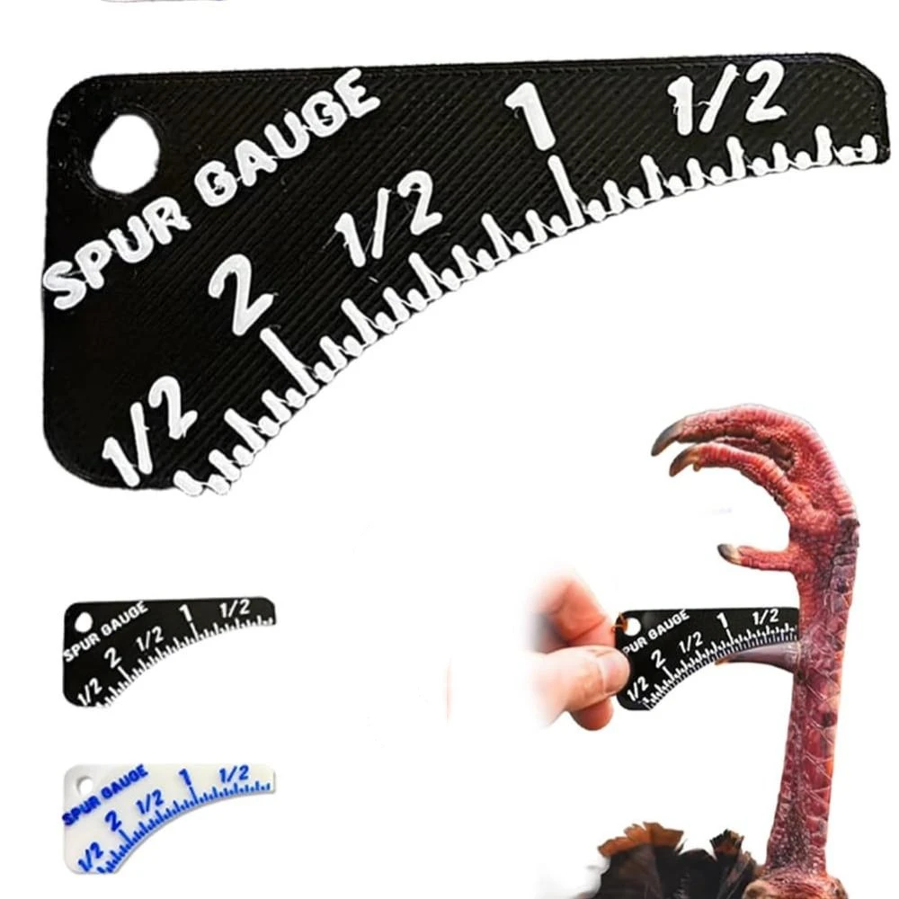 Jauge d'éperon de dinde sauvage multifonctionnelle, règle de mesure d'éperon de dinde Portable et Durable, outils de mesure d'âge d'éperon de dinde compacte