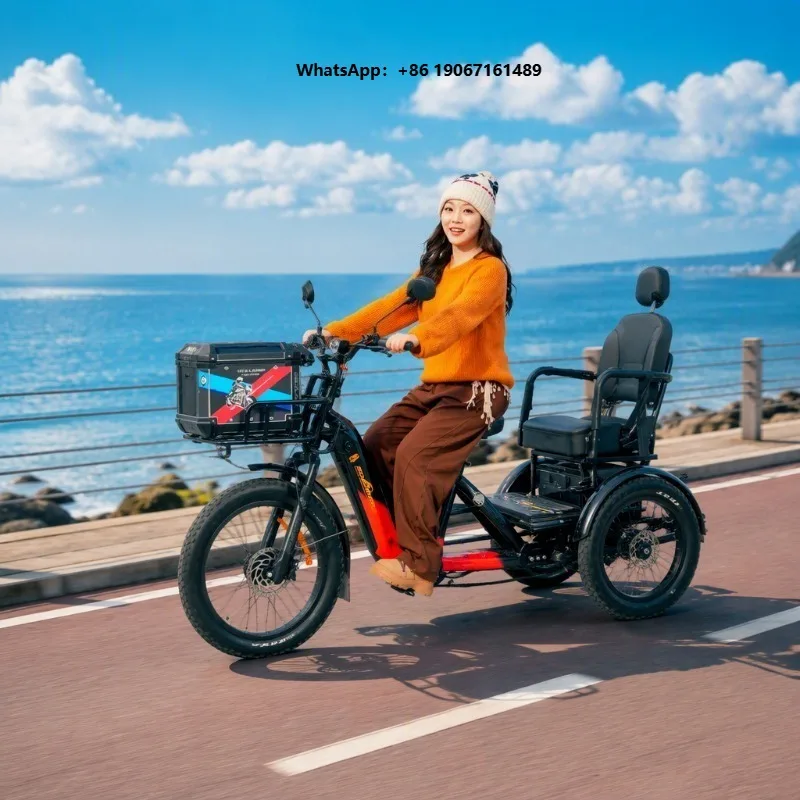 Long Range Tricycle Fashion Electric Family Cargo Bike 48v Ebike 3 Wheels Electric Bike Cargo Electric Trike 2500w xyl