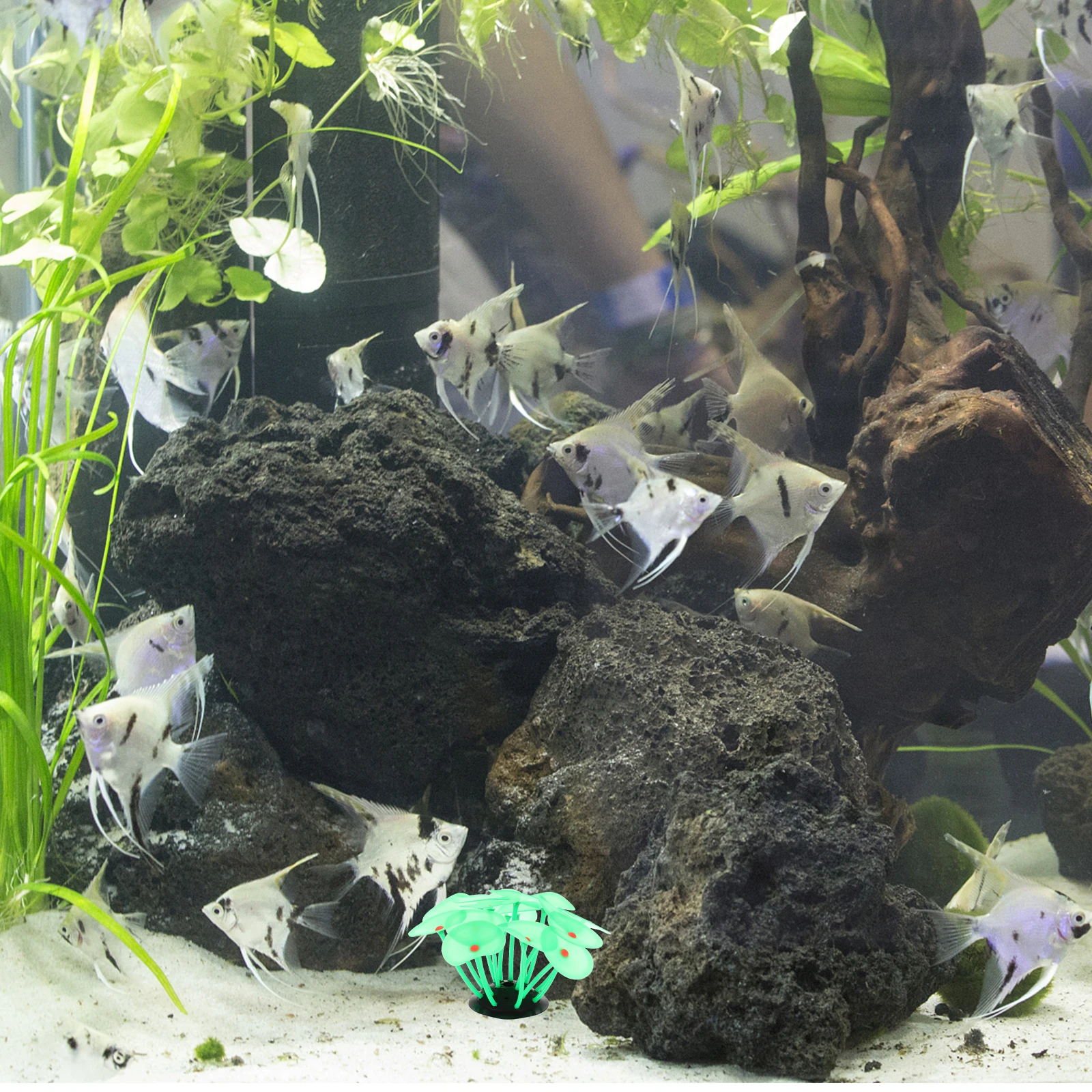 

Realistic Plastic Model Decorative Aquarium Plastic Plant Fish Tank Plant Aquarium Decorations Coral Adornment Easy