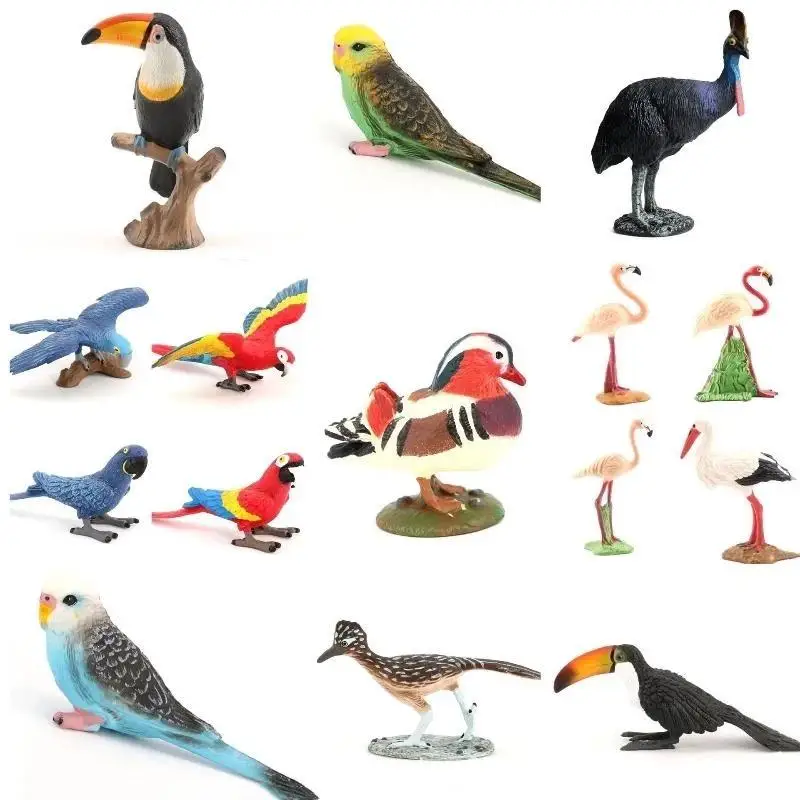 Oenux Forest Bird Figurine Parrot Macaw Cockatiel Cockatoo Agapornis Solid PVC Toy Garden Decoration For Kids Learning