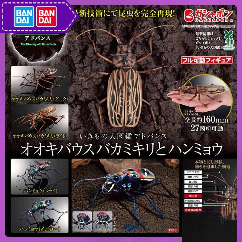 Bandai Gashapon Original, gran mapa biológico, libro ilustrado, escarabajo de ciervo de cola larga, escarabajo con cuernos japoneses, Micro modelo regalo