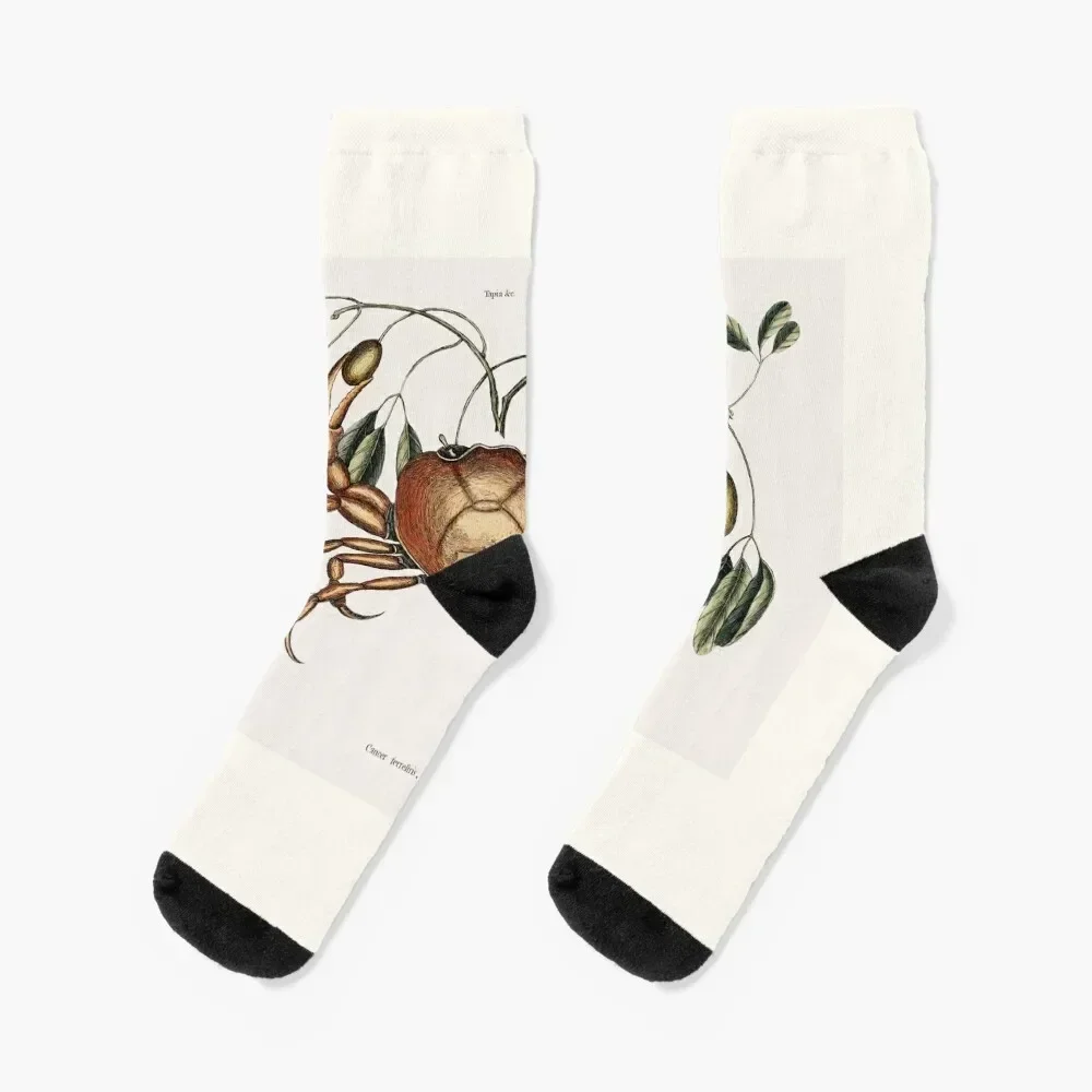 

Crab Socks sports and leisure Stockings Run golf Boy Child Socks Women's