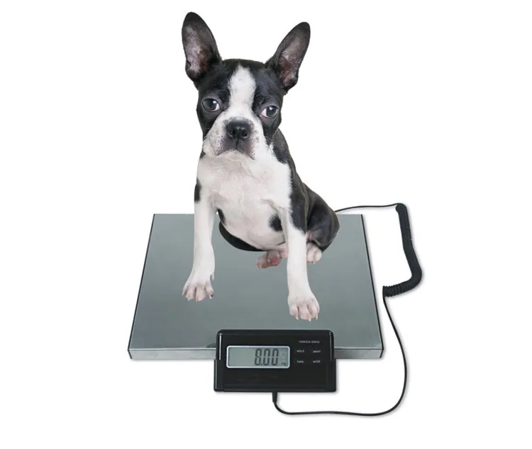 0.1-300kg 660lb Postal Scale Electronic Balance Weight Digital Platform Scale LCD AC Power