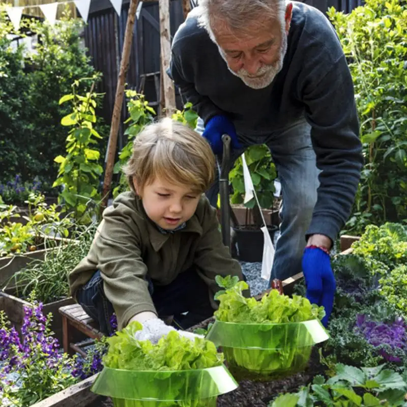 10pcs Vegetable Protection Cover Plant Protection Cloches Reusable Snail Protector Plants Collar Slug Protective Guard for plant