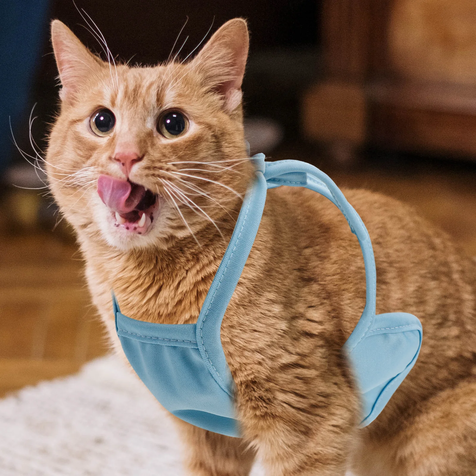 

Warm Belly Bag for Dogs Cats Soft Pet Costume Cozy Clothing Cute Design Blue M Thick Winter Apparel Dog Clothes Comfortable