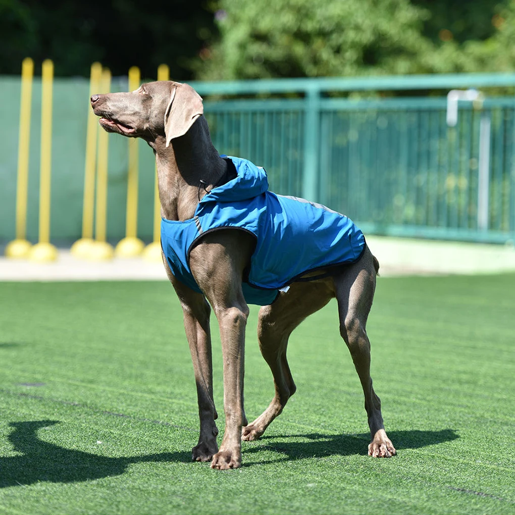 

Dog Jacket With Reflective Stripes High Visibility Stripes For Safety Dog Stylish And Dry Easy Blue XXL