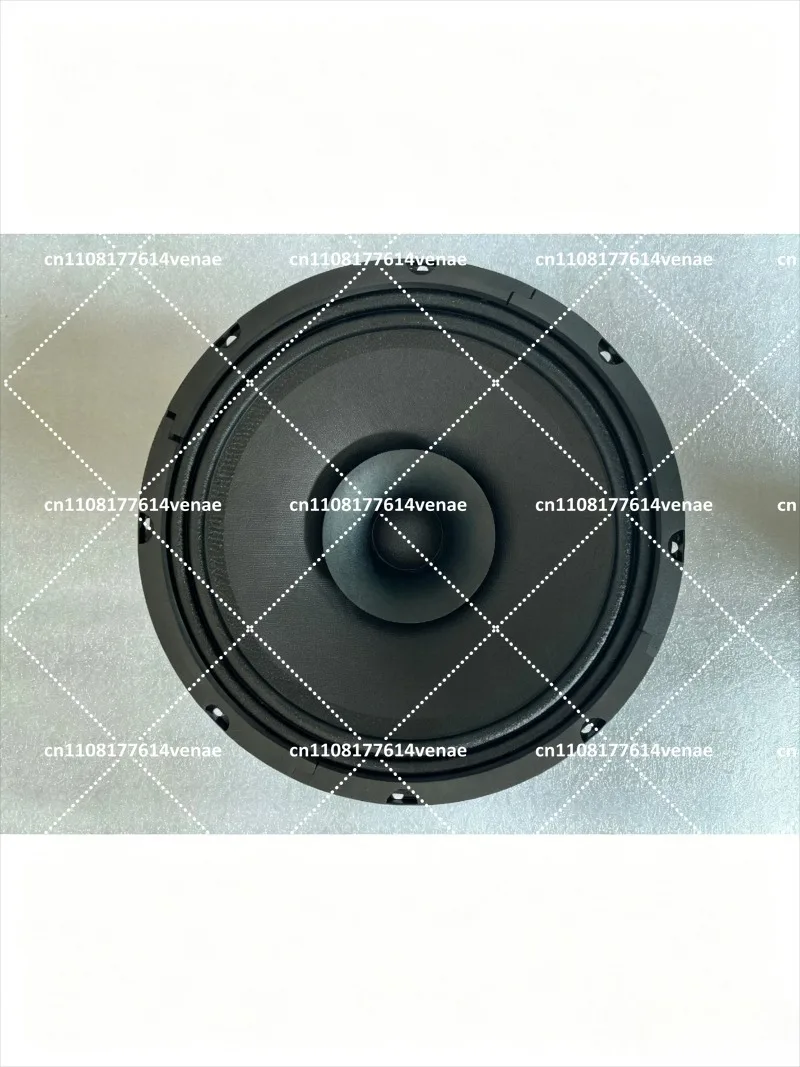 10 Inch Full Range Speaker Double Paper Cone White Cone High Sensitivity Audio