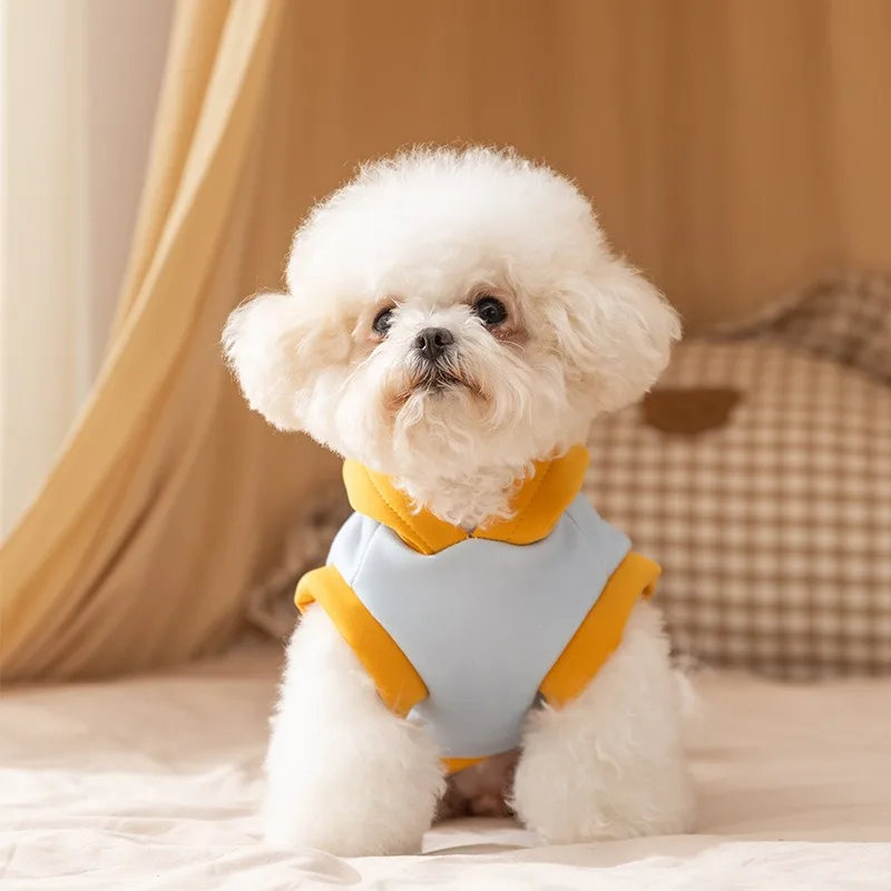 

Winter Puppy Sweatshirt Maltese Warm Hoodie with Leash Teddy Two-Legged Clothes Bichon Cartoon Print Pullover