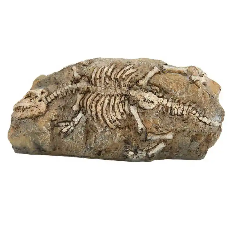 Aquarium Dinosaur Fossil Ornament Exquisite Reptile Dinosaur Fossil Decoration Resin Vivid Beautiful Durable Artificial for fish