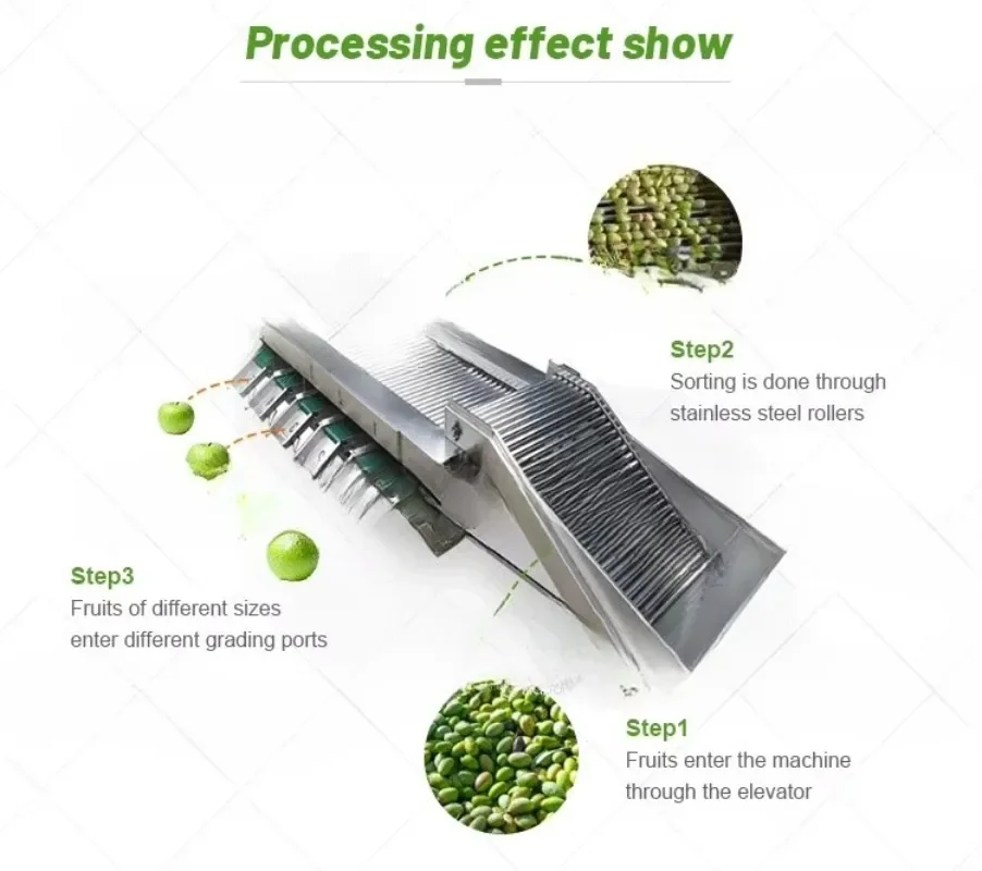Automatic Mango Raspberry Size Weight Sorter Strawberry Avocado Date Fruit Sorter