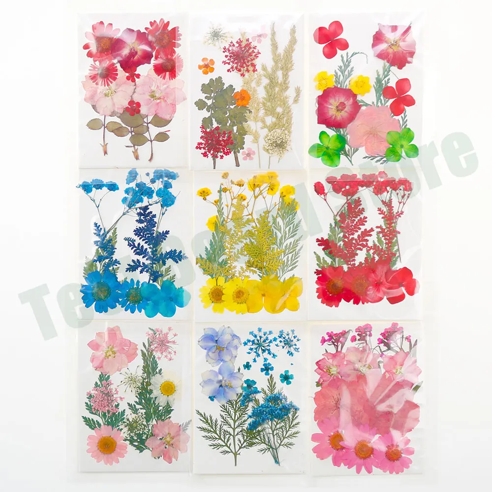 1Pack Dried Flowers Dry Plants for Resin Handmade Materials Fillings DIY Nail Art Decoration Pressed Flowers Home Decoration