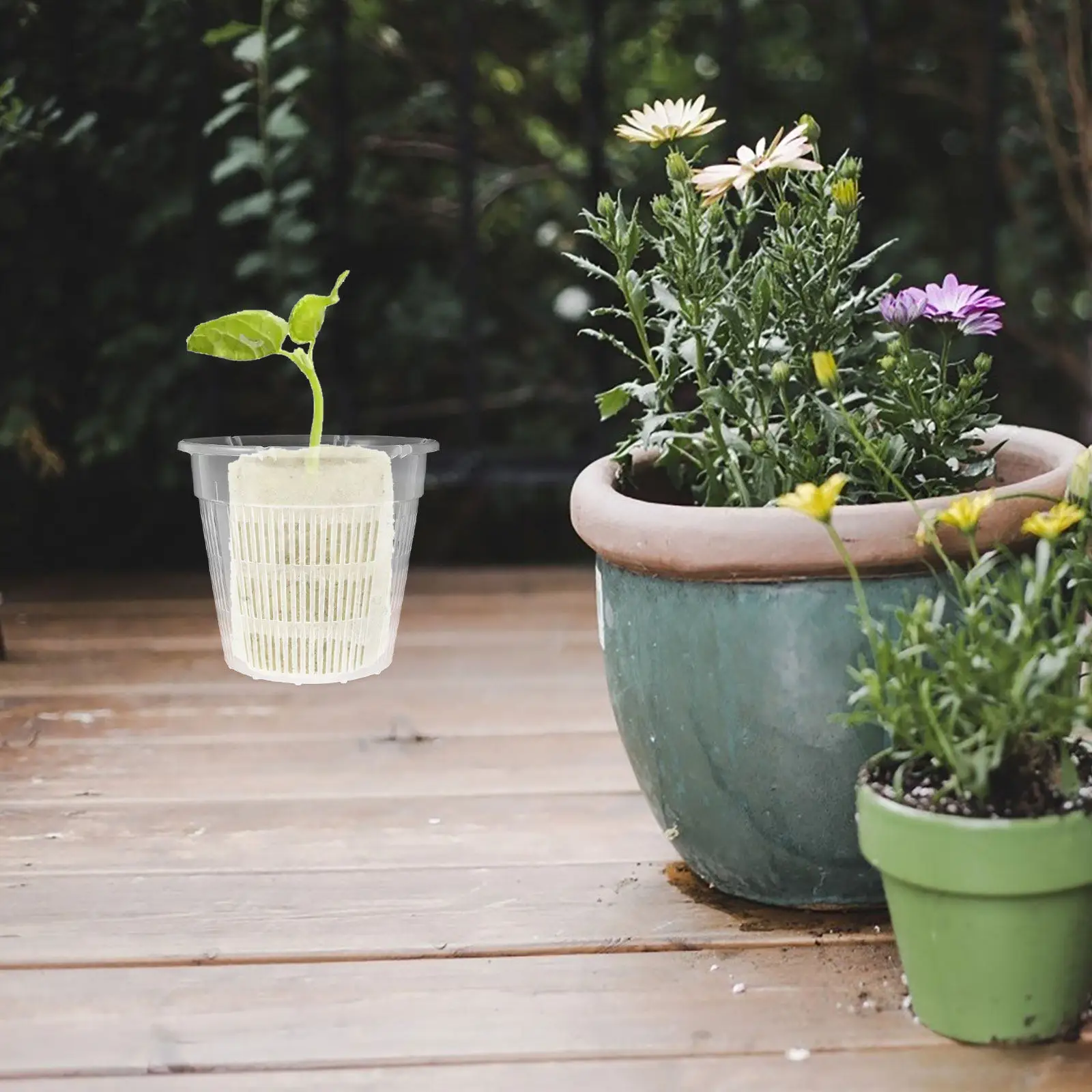 4Pcs Hydroponic Plant Basket Root Control Soil-Free Cultivation Balcony Vegetable Green Plant Net Pots Stable Plastic Planter