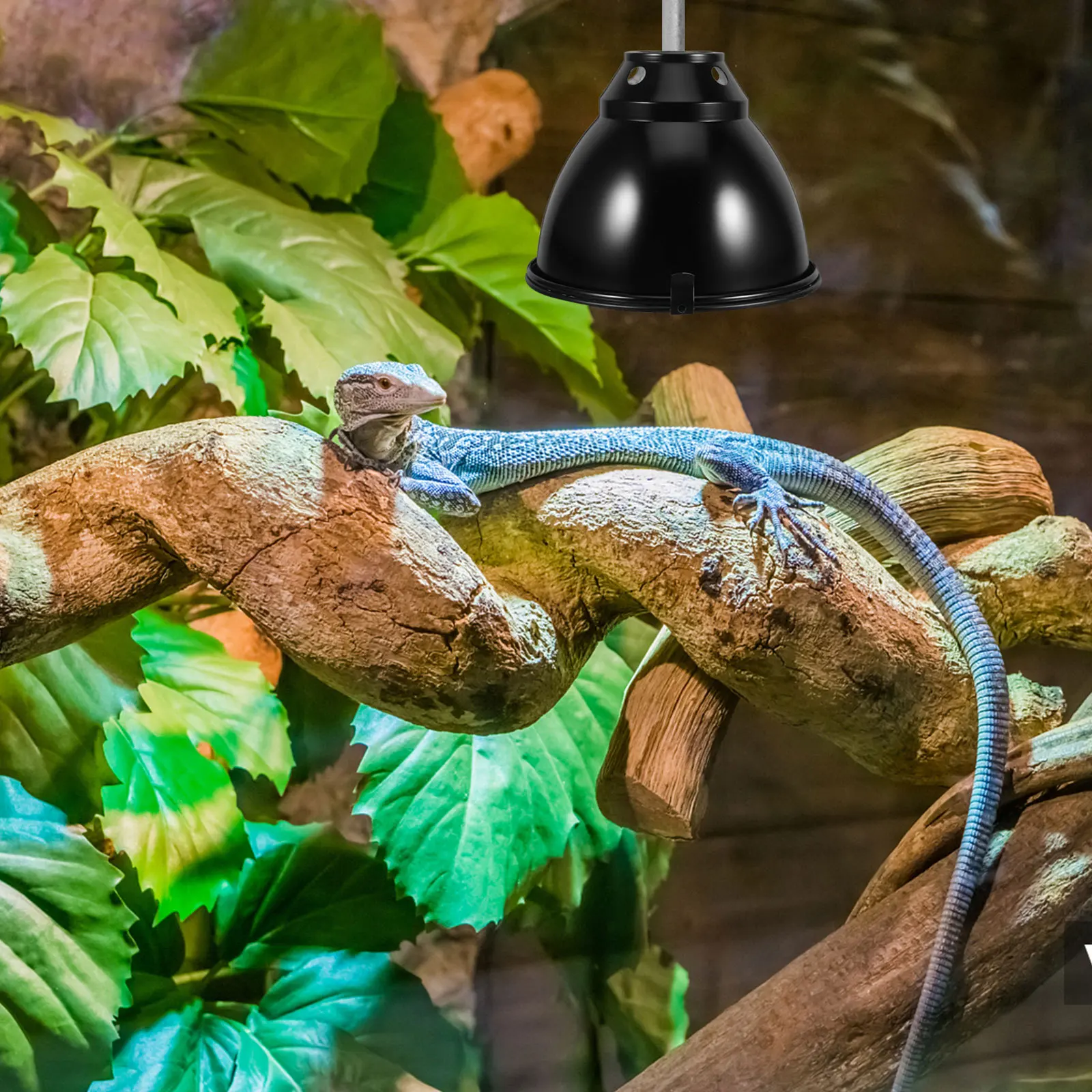 

2Sets Reptile Heat Lamp Shield Aluminum Dome Light Cover for Turtles Snakes Lizards Optimal Warmth Balance Easy Fit Reptile