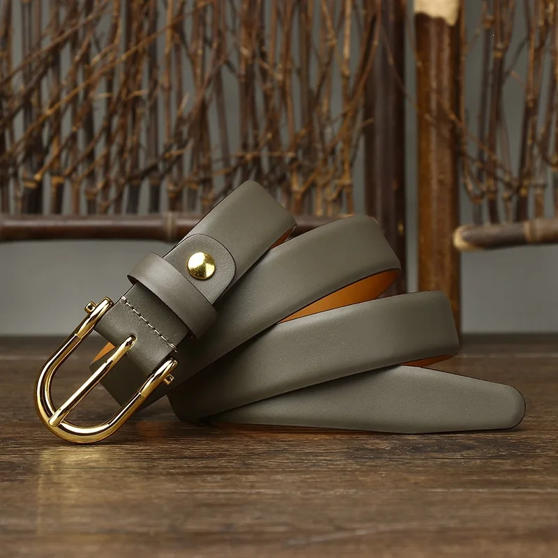2.4CM Women's Genuine Leather Belt, 2026 New Style, Simple & Versatile, Fashion Trend Pin Buckle Belt for Dresses