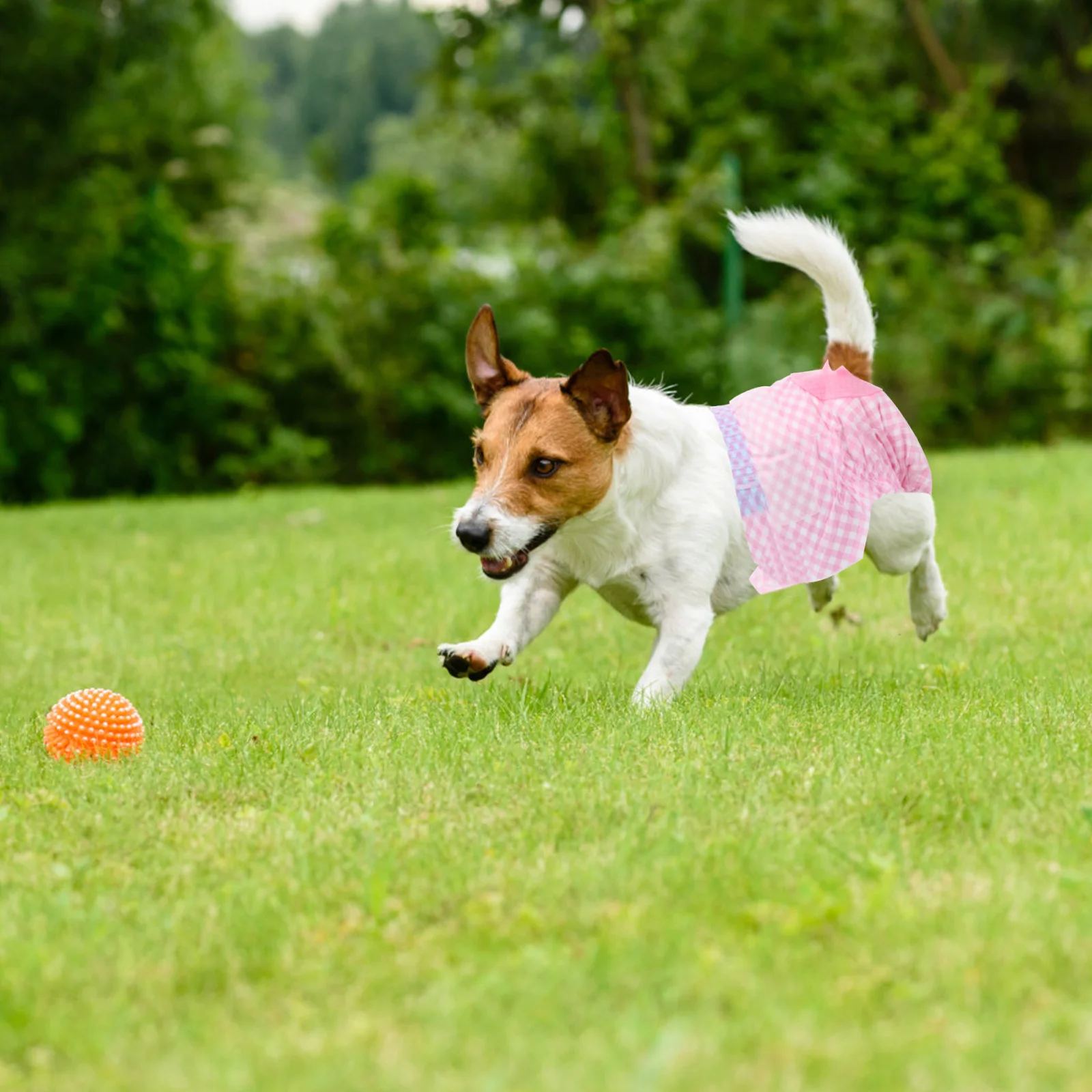 

12pcs Dog Diapers Female Absorbent Pet Diaper For Puppies In Heat Disposable Waterproof Leak Proof Comfortable Fit Carpets Sofas