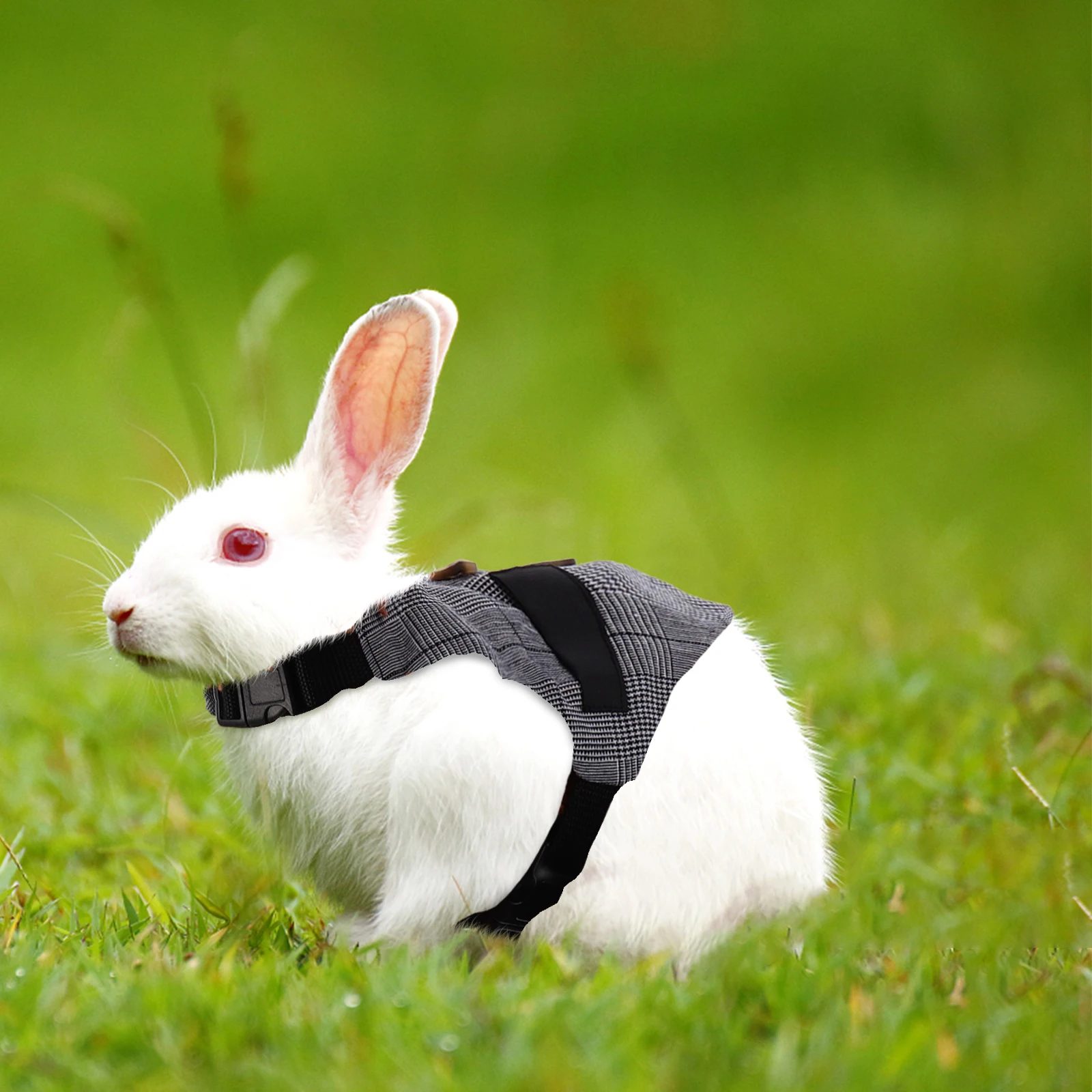 

Walking Reflective Pet Bunny Set Set Rabbit Harness With Leash Harness Leash For Rabbit Pet Supplies