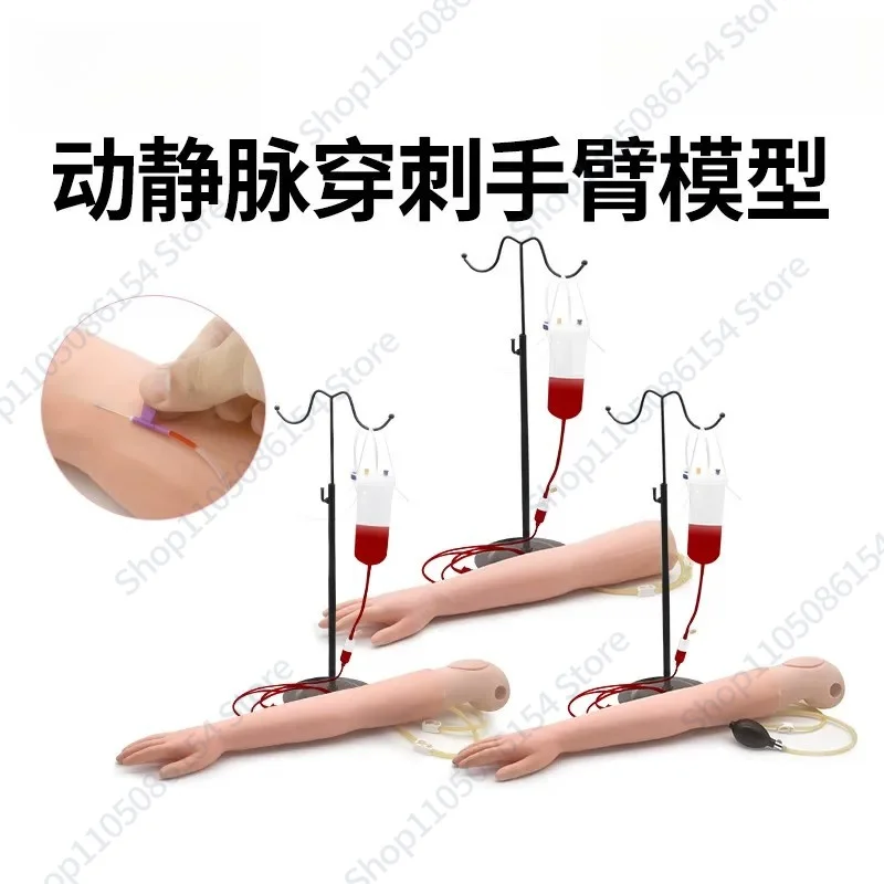 Venipuncture and intramuscular injection simulation arm training model, arterial blood gas analysis model