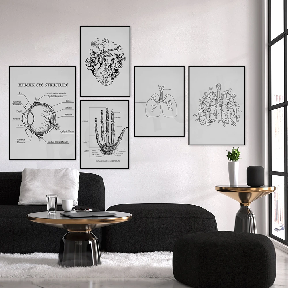 Minimalist Kalp, Akciğerler, iç organlar, Göz Yapısı, İnsan Eli Kemik Şeması Hat sanatı, Anatomi baskısı, Biyoloji Yazdırılabilir