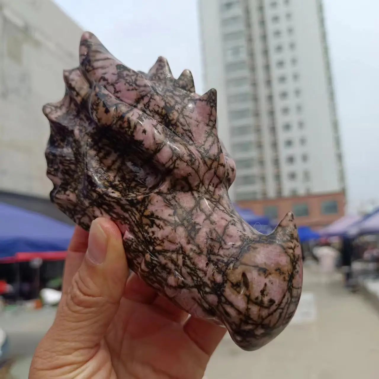 Natural Pink Phosphorus Manganese Ore Dragon Head,Quartz Crystal Energy Ore Hand Carved Dragon Skull,Mineral Reiki Treatment