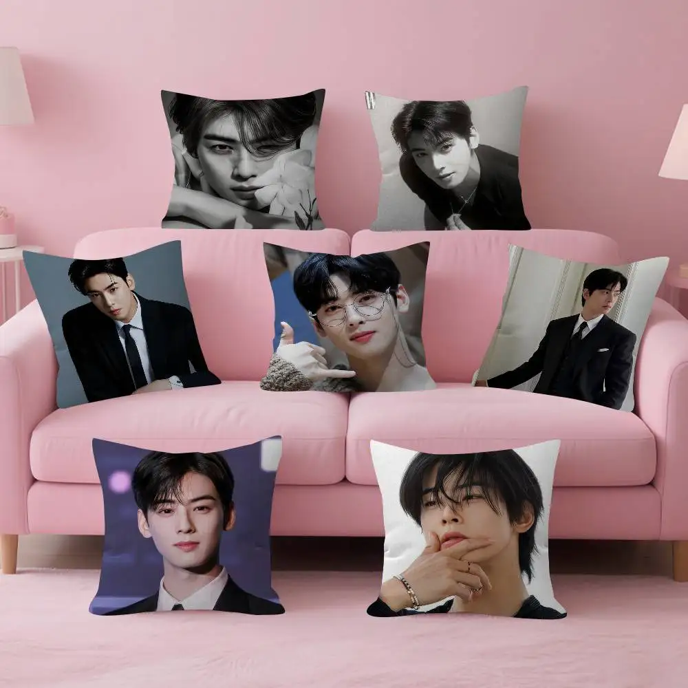Singer Cha ido EunWoo Double-sided Printed pillow cover Short plush Suitable living rooms bedrooms sofas throw cushion cover