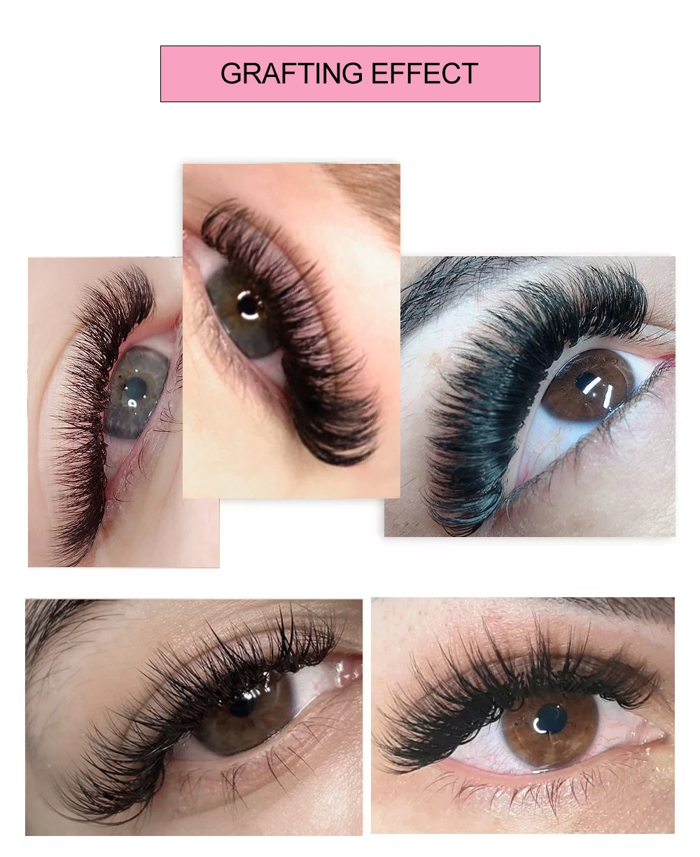 Yelix Easy Fan Camellia Mega Volume Wimpernverlängerungen 1s Bloom Einzelwimpern C D L LC Curl Gemischte Längen Natürliche Salon-Wimpern – Detail 10