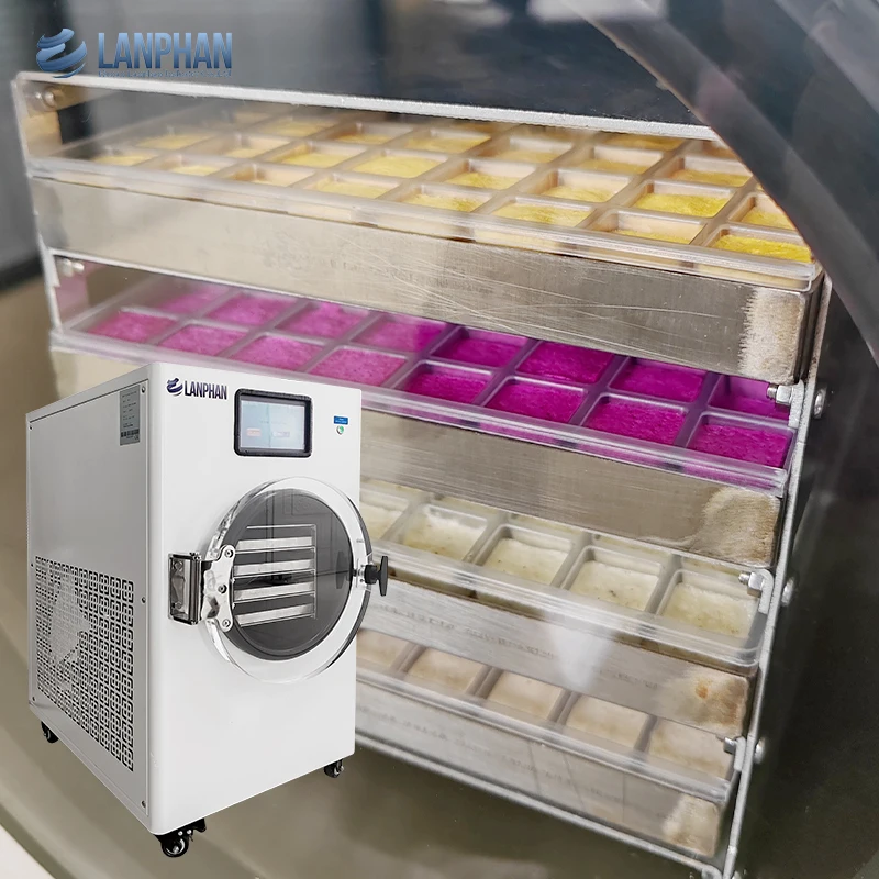 6kg 8kg/バッチ 中型ミニ液体ミルクコーヒー果物野菜食品グレード凍結乾燥機 オイルフリーポンプ付き