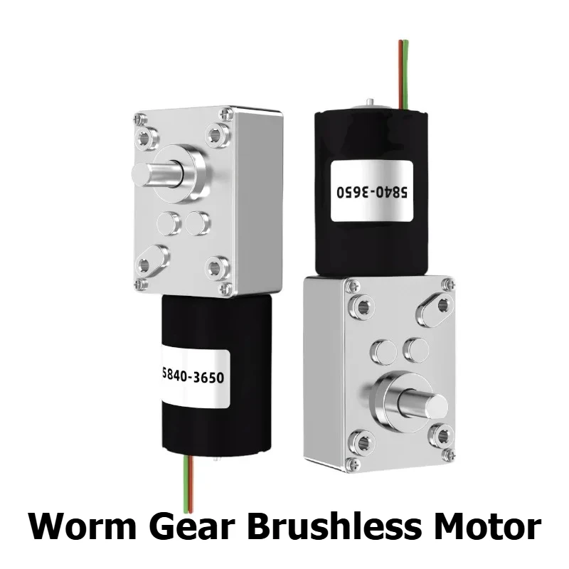 5840-3650 Worm gear DC geared motor 12V speed regulation self-locking high-power brushless motor 24V