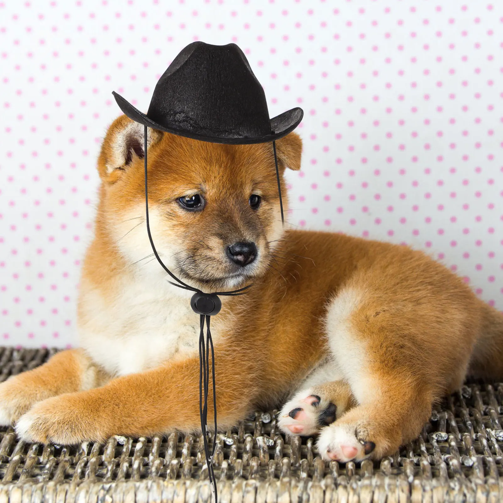 

5 Pcs Pet Hat Adjustable Cowboy Style Dog Cat Hats for Pets Non woven Fashionable Design Small Size Black Color