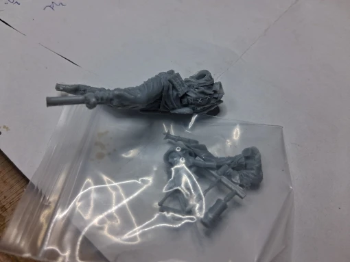 Buyer photo of this resin kit