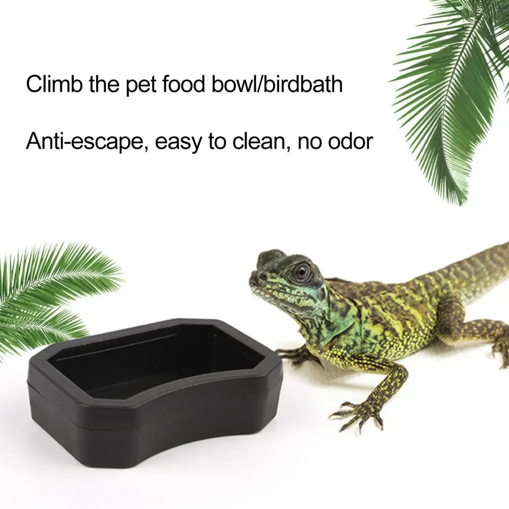 Water Bowl Harmless Pet Water Box Pet Food Water Feeder Set Plastic Resin Rock Bowls for Terrariums Aquarium Ornament Dish