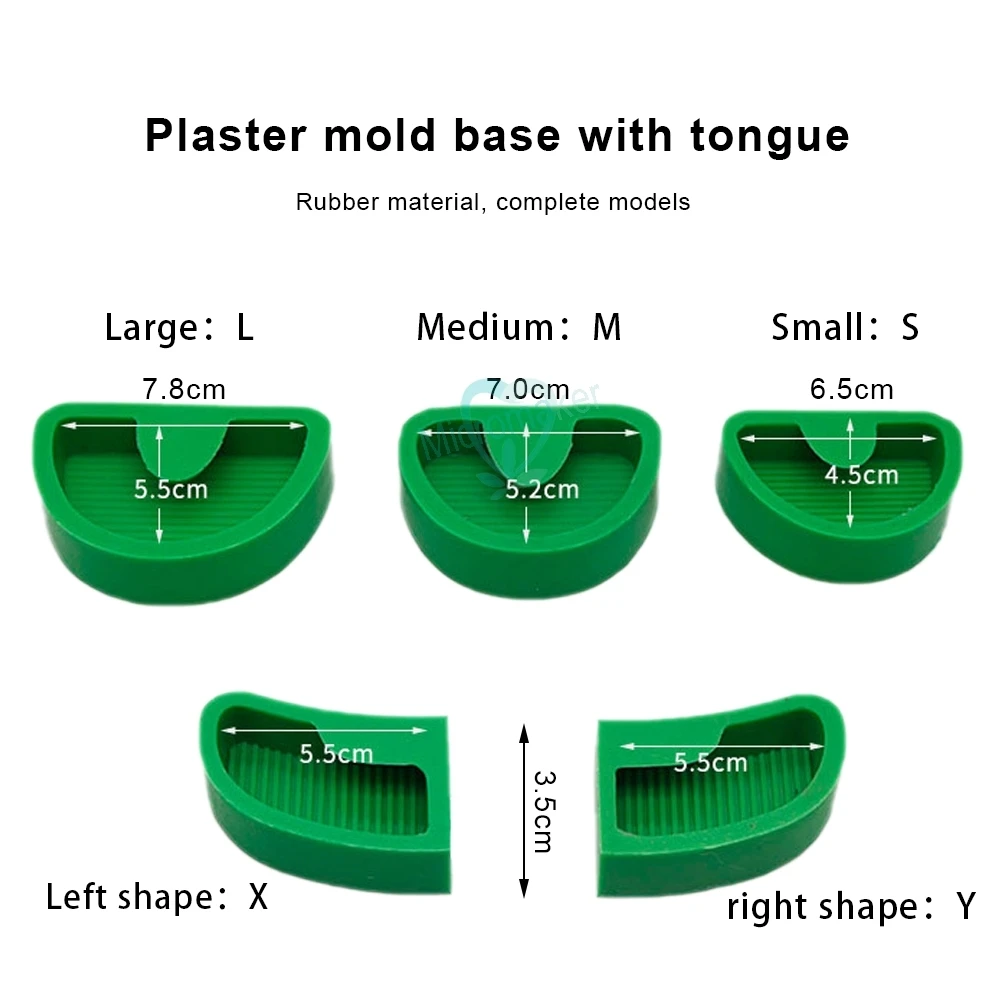 Dental Silicone Plaster Model White Green Rubber Base Mould Former Base Tongue Dental Lab Tools Gypsum Carving