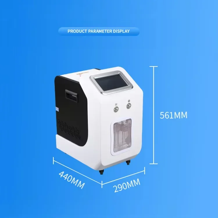 High Purity and 99.9% Purity PEM Generador 1500 ml Double Outlet Inhalation hine for Home