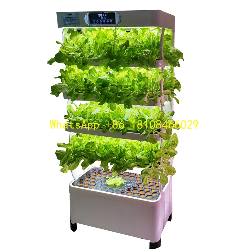 

Hydroponic Vertical Vegetable Garden Planting Machine for Lettuce Wholesale Competitive Price Smart