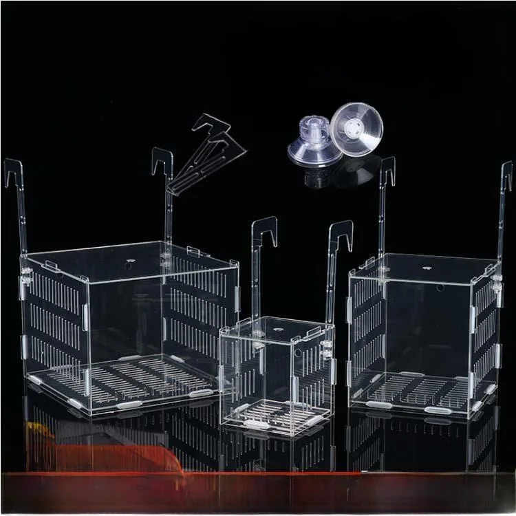 �y�Z�[�����z�A�N���������A���Œ�t���[�����k�͔|���i�{�E���݂艺���u���[�g���W���[�O���X�����u���{�b�N�X