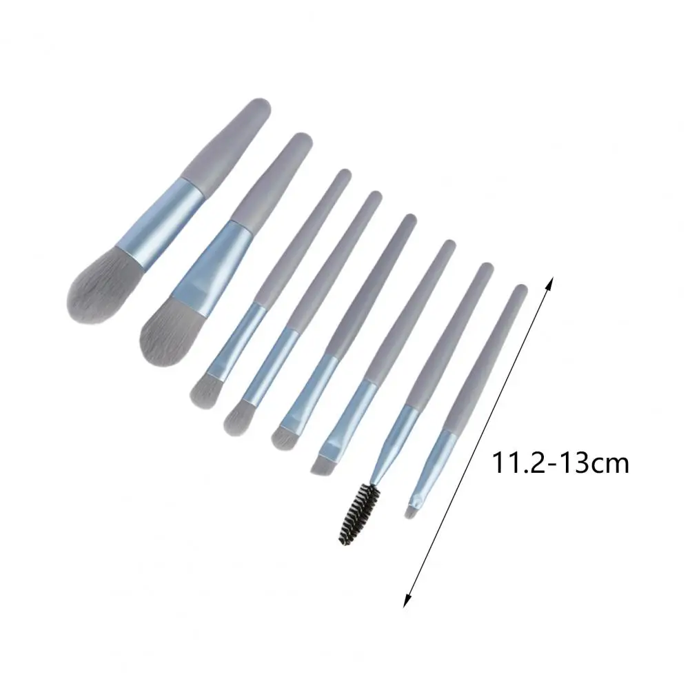 Pennello per trucco portatile Set di pennelli per trucco professionale con custodia portatile per evidenziatore fard in polvere in polvere per applicazioni