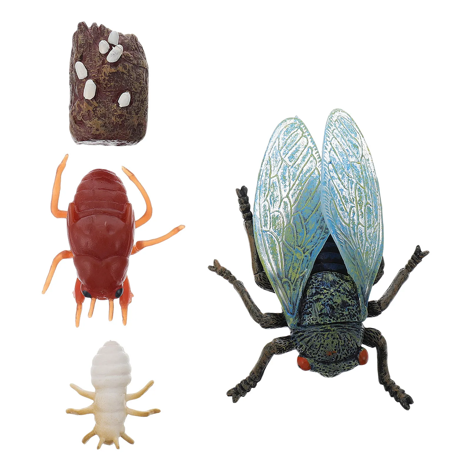 1Set Simulation Cicada Growth Cycle Ornaments Educational Display for Kids Enlightenment Plastic Lifelong Learning