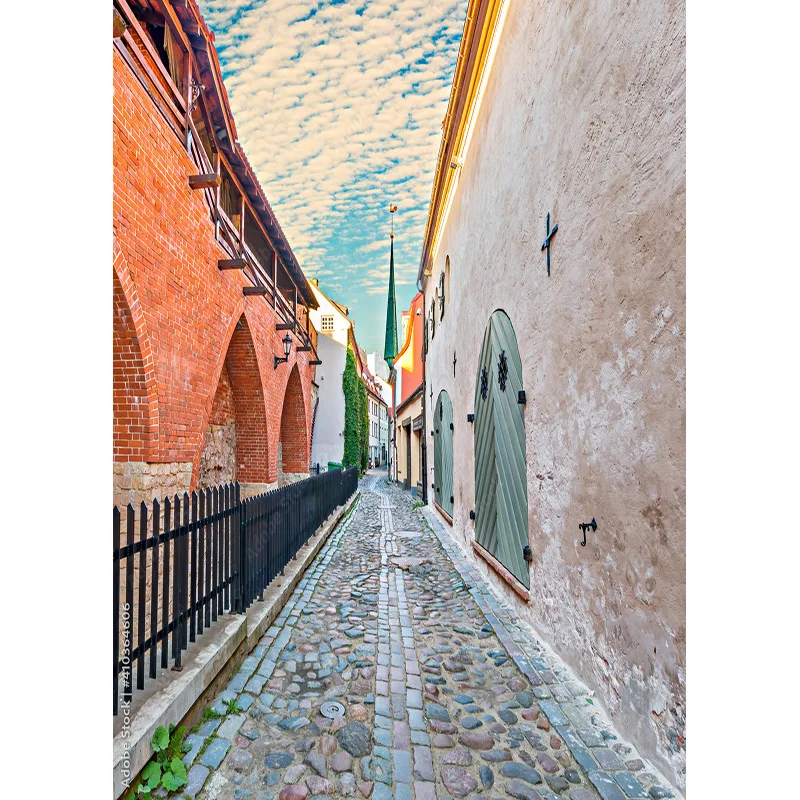 Vintage European Street View Scenery Photography Backdrops Props Wedding Portrait Photo Backgrounds Studio 211229 JJD-09